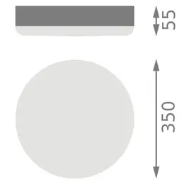 LDV_asset-13155843.jpg