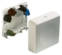 ER_2505010.jpg