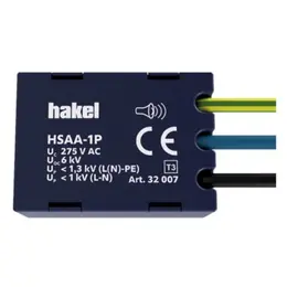 HAK_HSAA-1P-32007.jpg