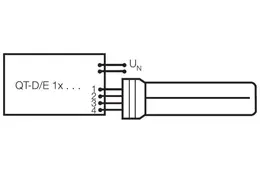 LDV_asset-273253.jpg