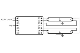 LDV_asset-286660.jpg