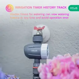 VAR_209-095_4.jpg