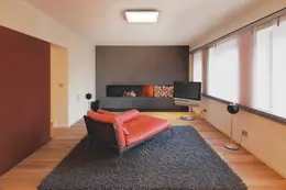 LDV_asset-11161931.jpg
