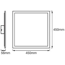 LDV_asset-10880307.jpg