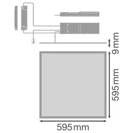 LDV_asset-5398855.jpg