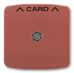 ABB_3559A-A00700_R2.jpg