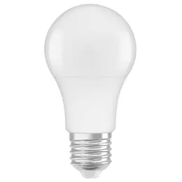 LDV_asset-9268302.jpg