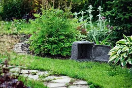 PAN_pn42000001-3.jpg