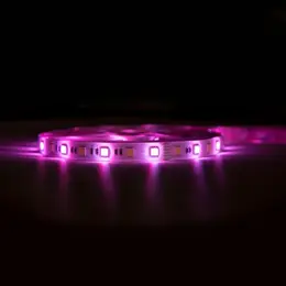 IMMAX_07775L_7.jpg