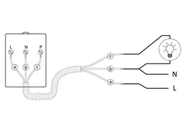 ELEM_1000906_2.jpg