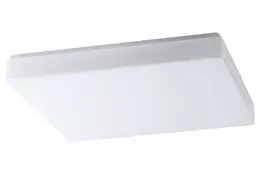 OS_TILIA_3.jpg