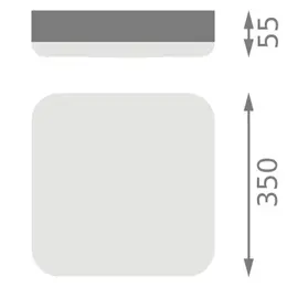 LDV_asset-13155848.jpg