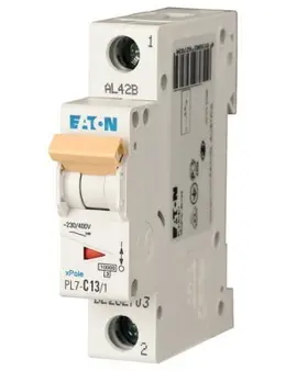 EA_sg02812.jpg