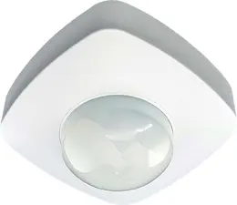 59.jpg