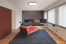 LDV_asset-11162622.jpg