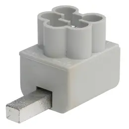 ELEM_1079501.jpg