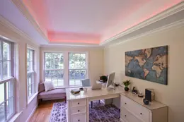 LDV_asset-11180646.jpg