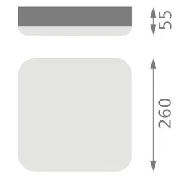 LDV_asset-13155847.jpg