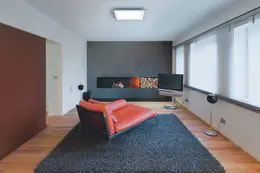 LDV_asset-11162772.jpg