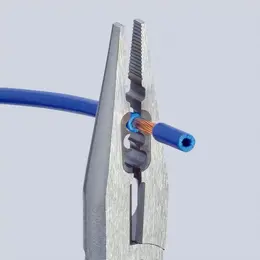 KN_IM0010081.jpg