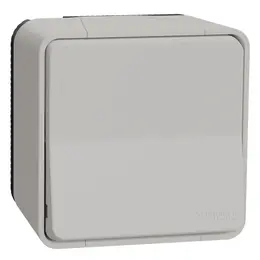 SCH_MUR39021_IoPdef_PMP19.jpg