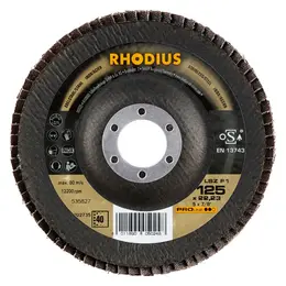 RHO_RHODIUS_pic_LSZF1_125_K40_4011890050248_p01.jpg