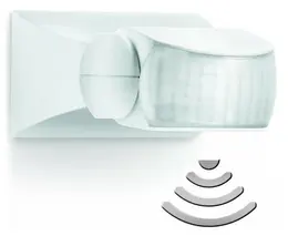 ELN_st600310.jpg